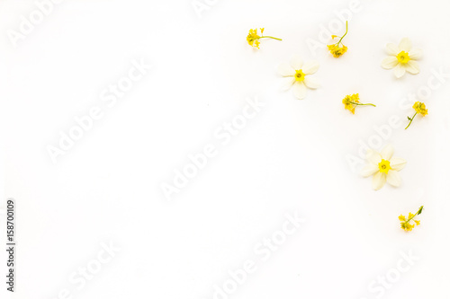 Spring flowers. Composition with yellow and white iris flowers on white background. Top view, flat lay