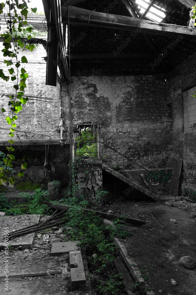 Naklejka premium Riche de la nature