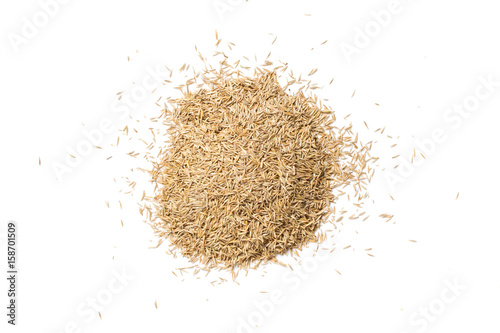 grass seed pile - isolated