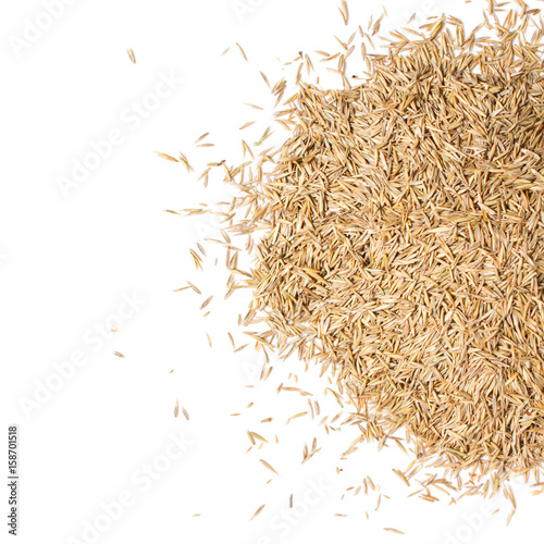 grass seed pile - isolated