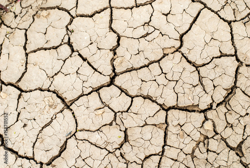 Drought land texture