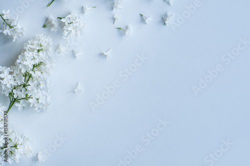 White Liliac Wallpaper