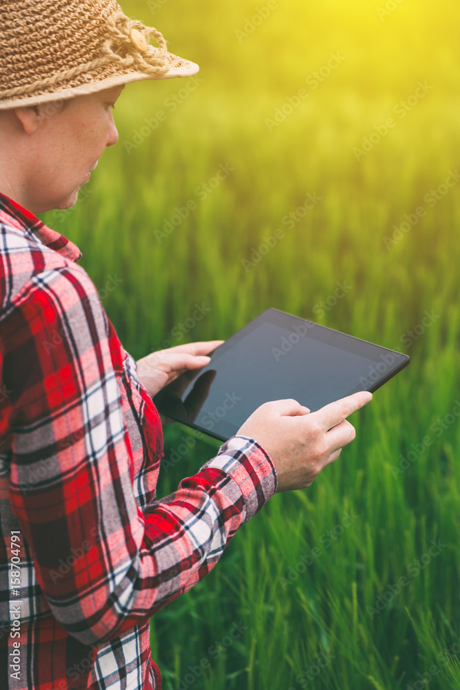 Fototapeta premium Female farmer using tablet computer in wheat crop field