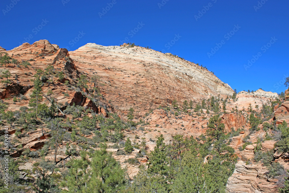 Fototapeta premium Zion National Park, Utah