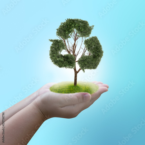 Hand holding tree with recycle concept