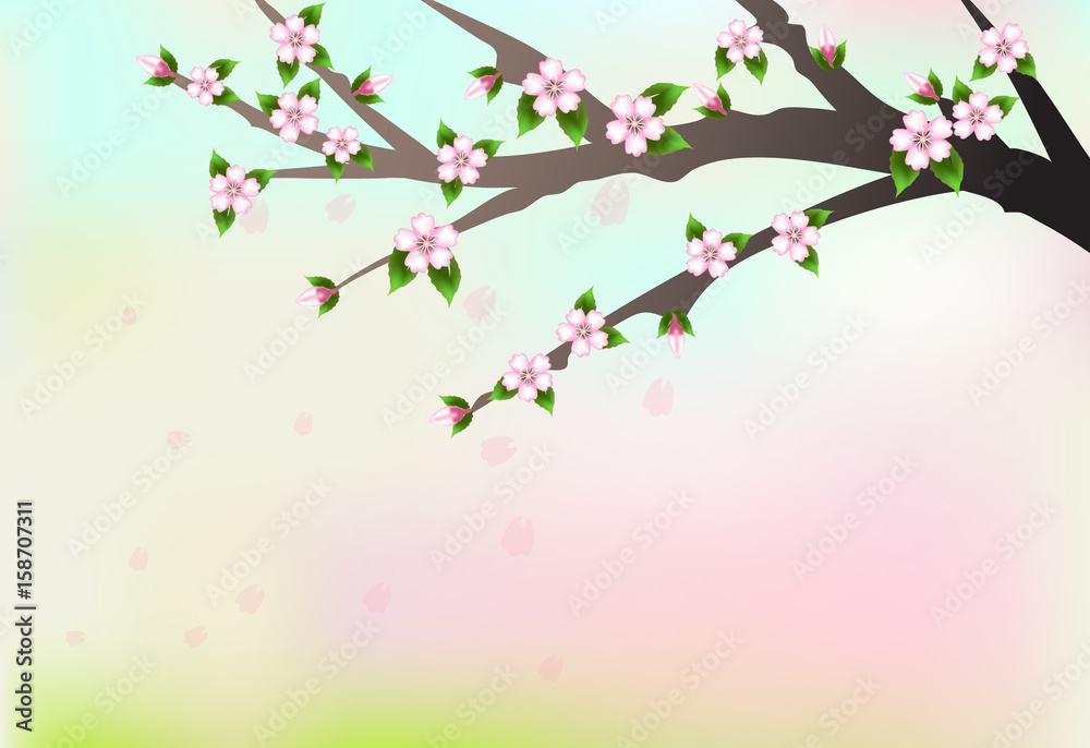 Cherry blossom branch and petals floating, illustration nature background