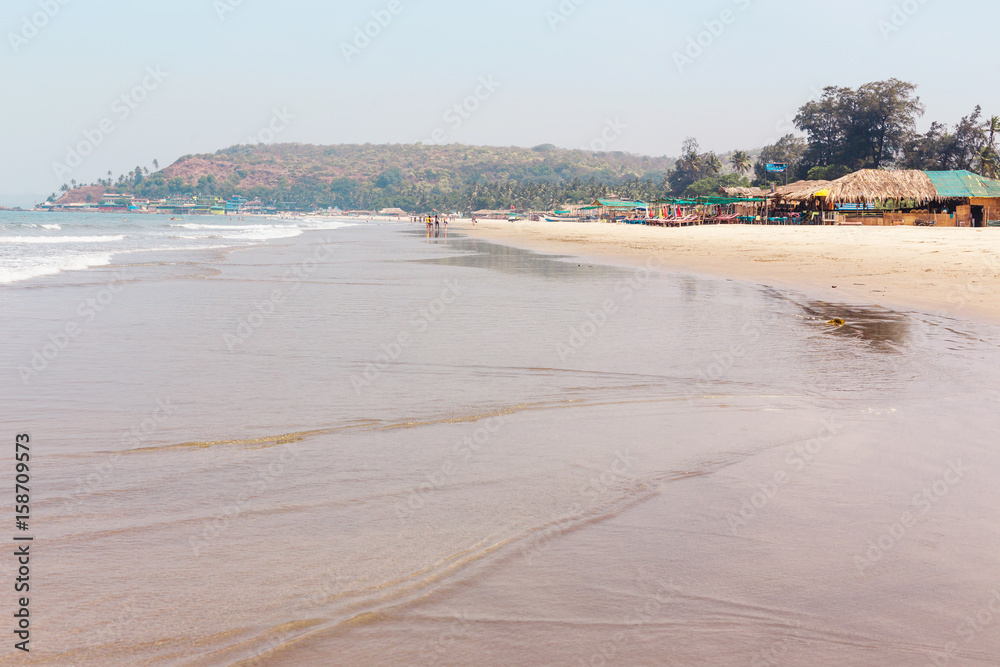 Goa, India, the beach of Arambol. Tropical sandy beach of the Arabian Sea.