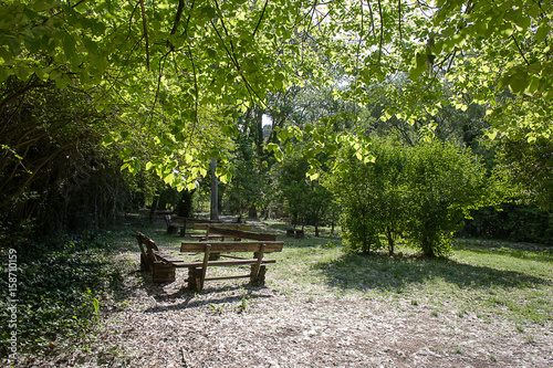 picnic area in a green relaxing glade