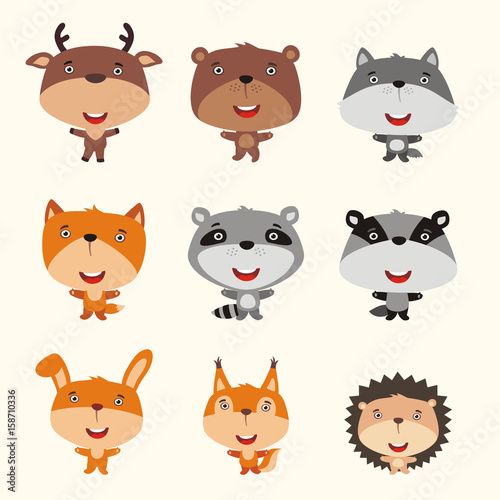 Vector set forest animals in cartoon style. Collection isolated forest animals: deer, bear, wolf, fox, raccoon, badger, hare, squirrel, hedgehog.