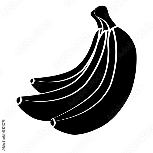 Vector bananas. Bunches of black banana fruits with white stroke isolated on white background. Bananas silhouette