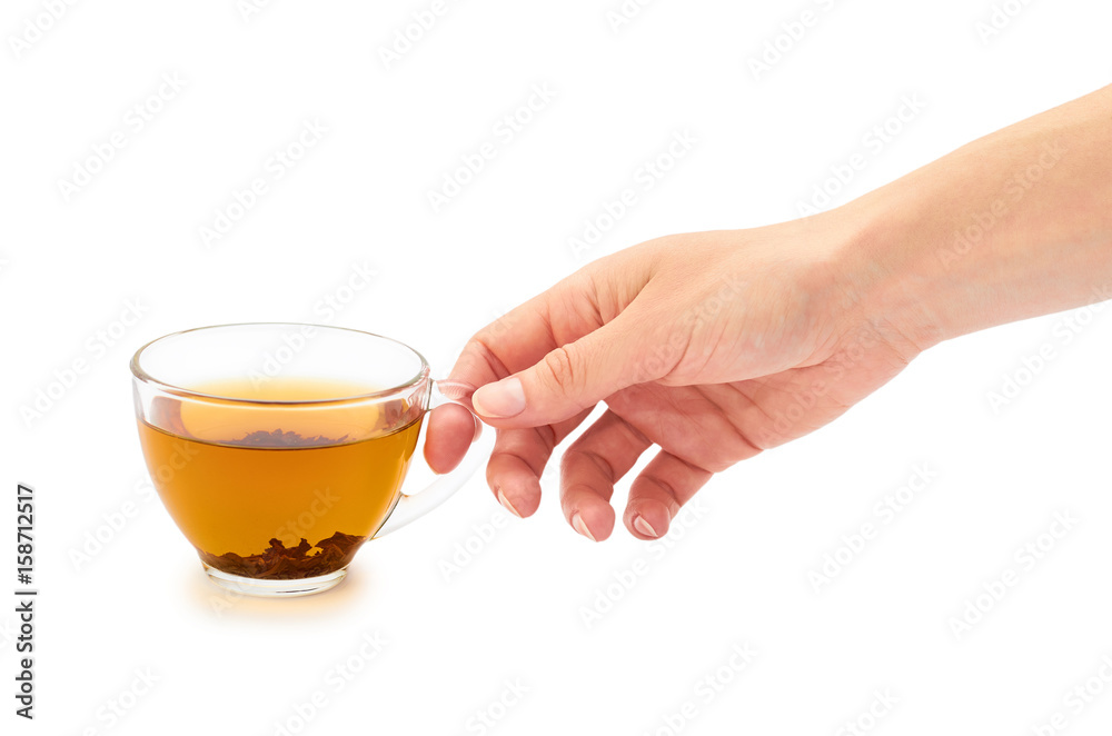 Female hand holds a cup of tea. Isolated on white background Female hand holds a cup of tea. Isolated on white background