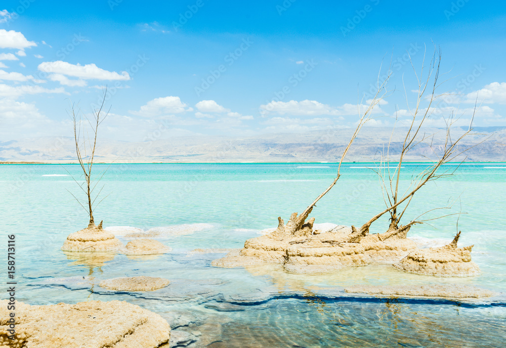 Fototapeta premium Dead sea