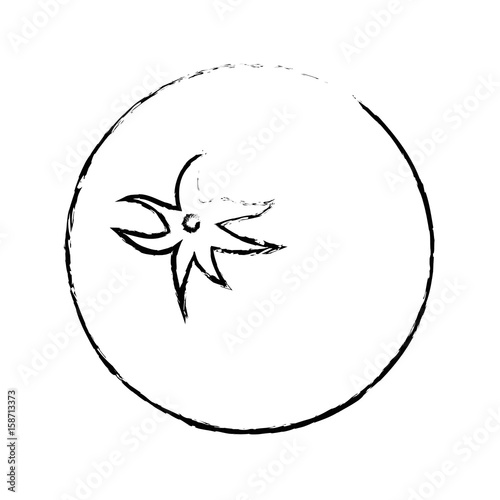 Fresh tomatos vegetable icon vector illustration graphic design