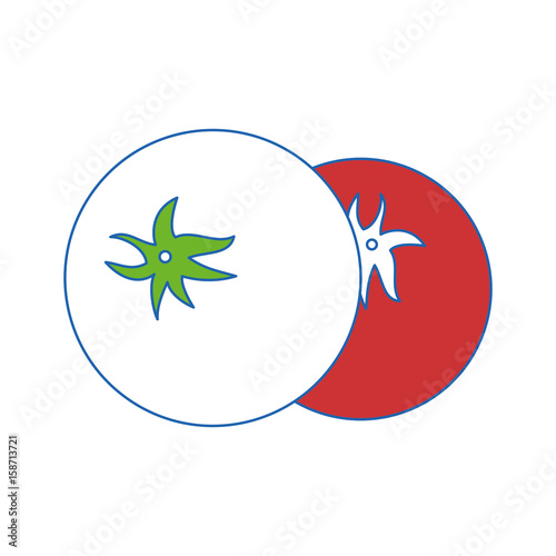 Fresh tomatos vegetable icon vector illustration graphic design