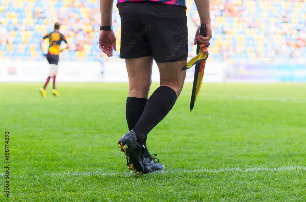 The match referee at the stadium The match referee at the stadium