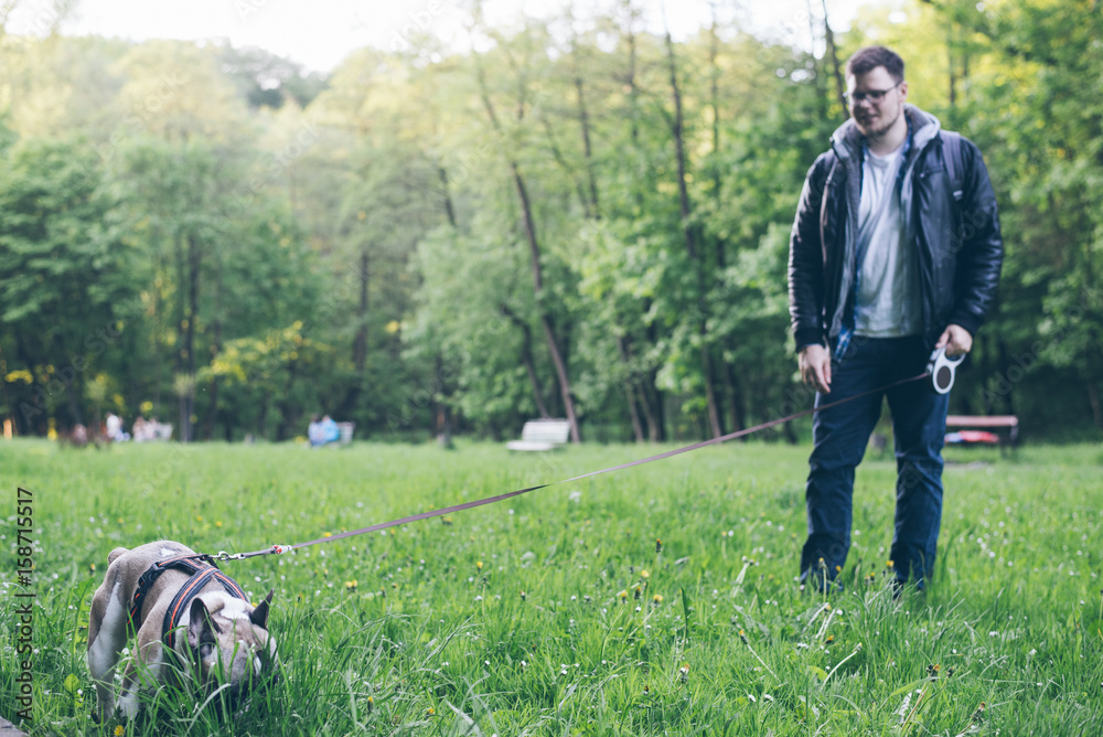 man walk with french bulldog in city park