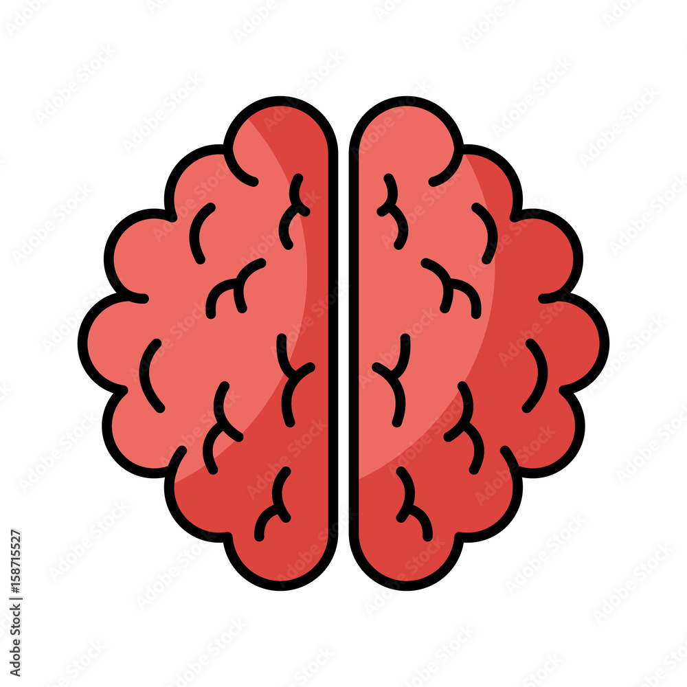 brain organ human icon vector illustration design brain organ human icon vector illustration design