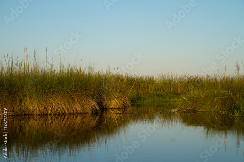 nature of the okavango delta in botswana