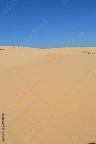 Wasteland of Sand