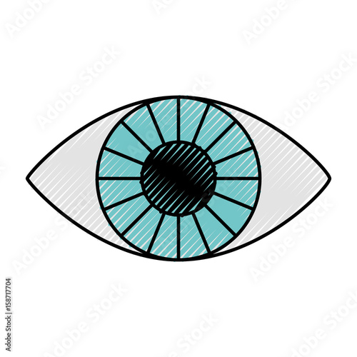 Fototapeta Naklejka Na Ścianę i Meble -  eye human isolated icon vector illustration design