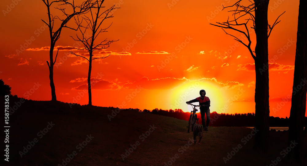 Silhouette of a biker with a dog, walking in the forest at sunset 