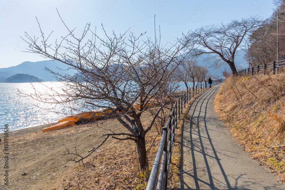 walk way in Nagasaki park side of Kawaguchiko lake in afternoon, winter season