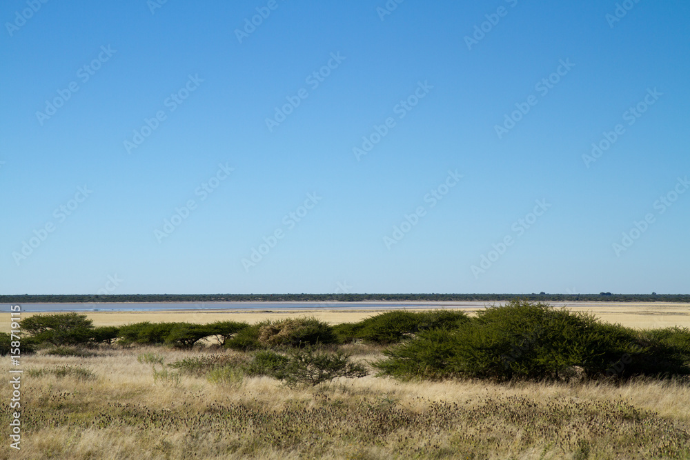 kalahari desert in botswana, africa kalahari desert in botswana, africa