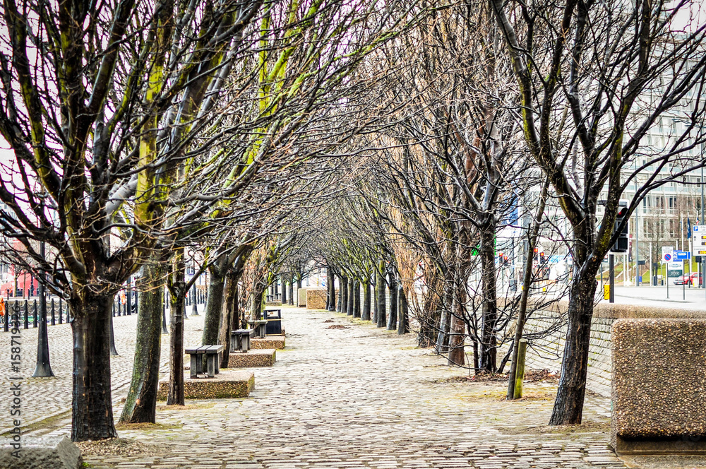 Spring alley Spring alley