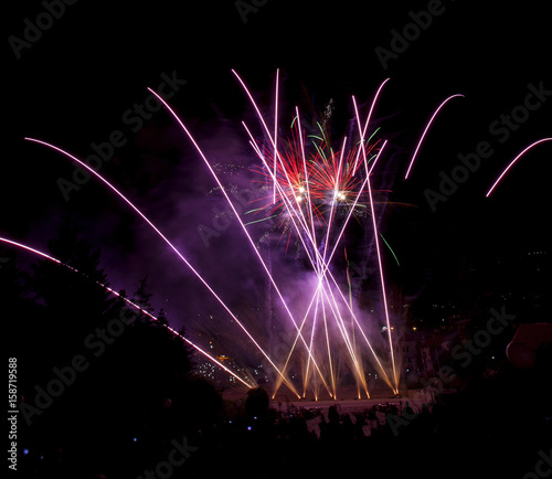 Beautiful fireworks illuminate the sky_23