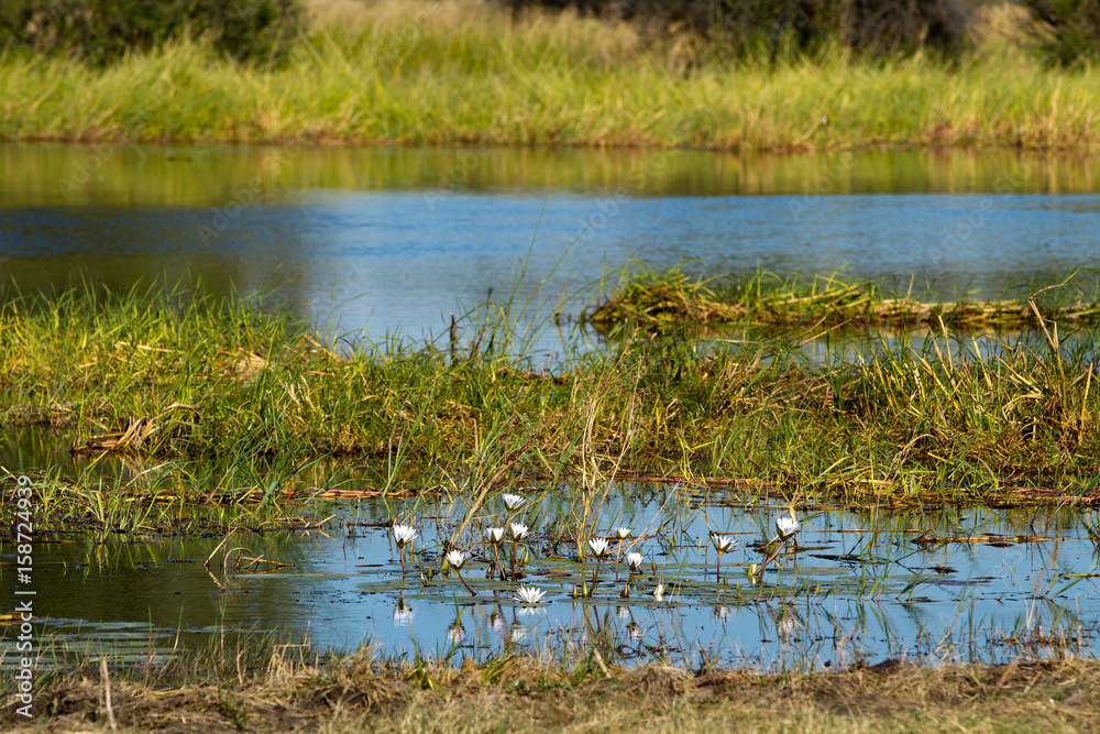 nature of the okavango delta in botswana nature of the okavango delta in botswana