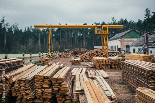 Fotografija Wood logging, sorting, transportation and processing on sawmill