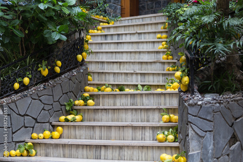 Stairs decorated with fresh lemon in Monterosso al Mare Italy