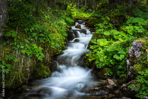 Cascades in a forest