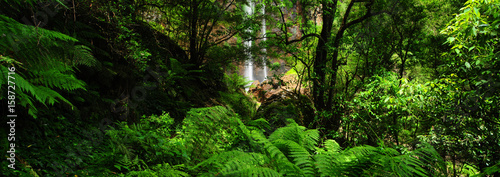 Australia Landscape   Queen Mary Falls of Main Range National Park in Queensland