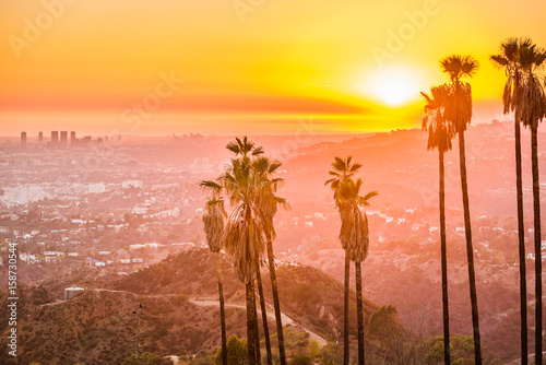 Canvas-taulu Griffith Park, Los Angeles, California, USA.