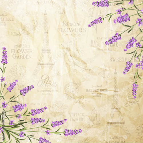 The lavender elegant card. Vintage postcard background vector template for wedding invitation. Label with lavender flowers. Vector illustration.