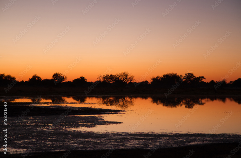 sunset in the moremi game reserve in botswana