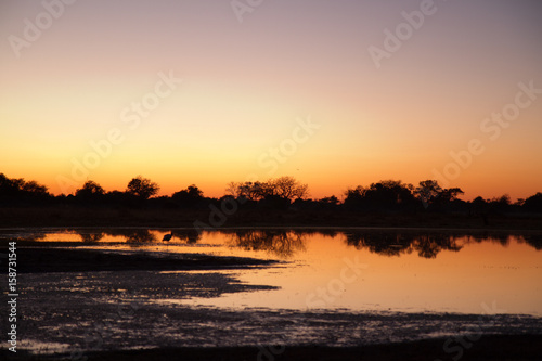 sunset in the moremi game reserve in botswana