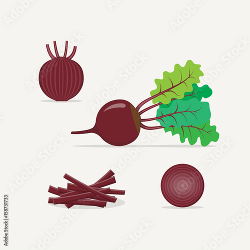 Purple beet flat realistic style vector illustration. Whole and cut in half the length and breadth of the plant. Chopped straw for salad or cooking.