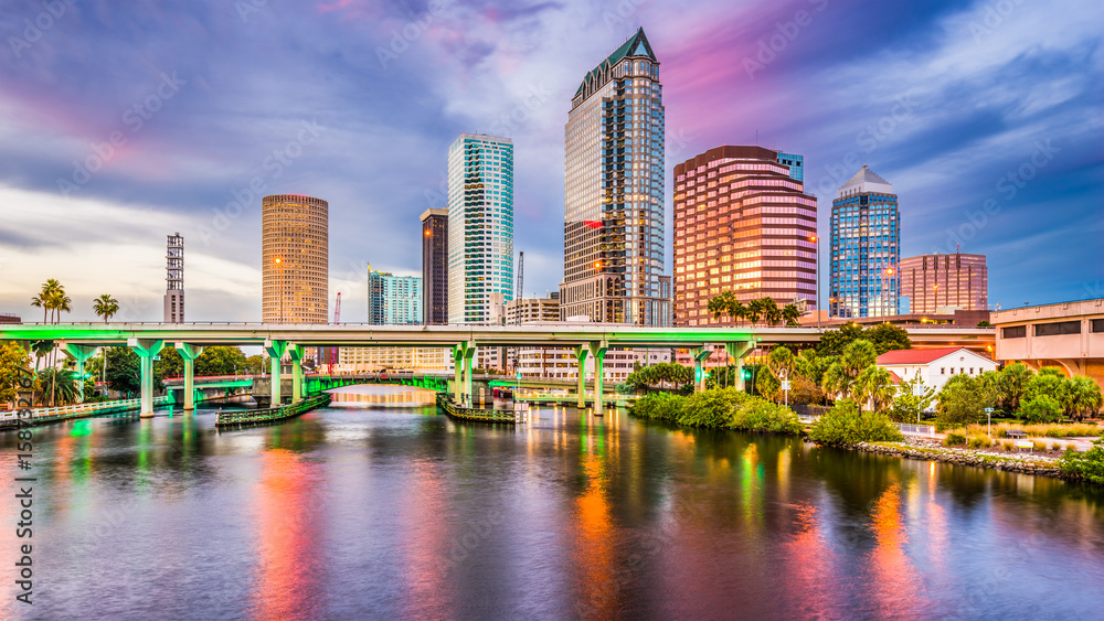Tampa, Florida, USA Skyline. - obrazy, fototapety, plakaty 