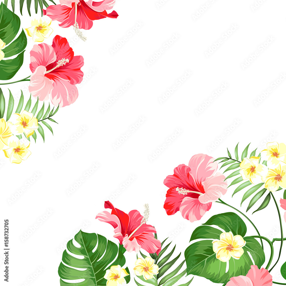Tropical garland isolated over white background. Vector illustration.
