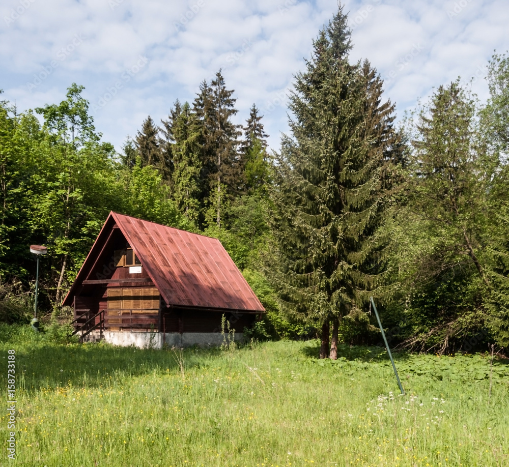 abandoned chalet on meadow with trees around