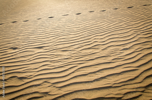 Footprints on sand dunes