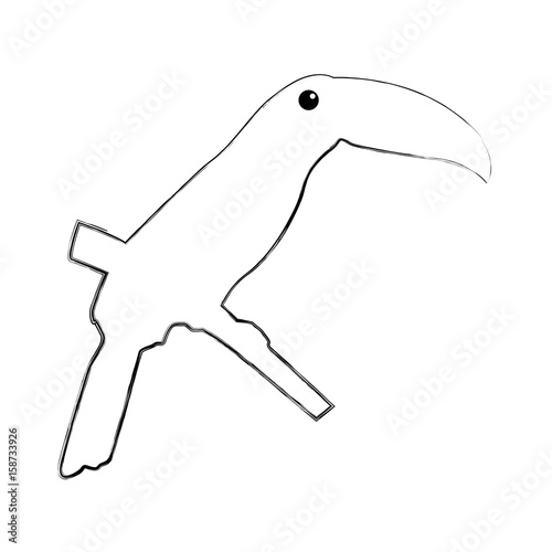 bird exotic toucan isolated icon vector illustration design