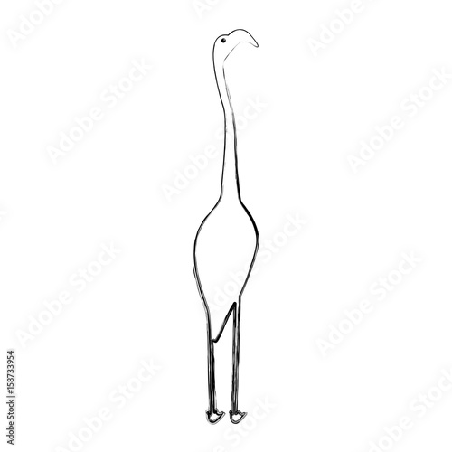 exotic flamingo silhouette icon vector illustration design