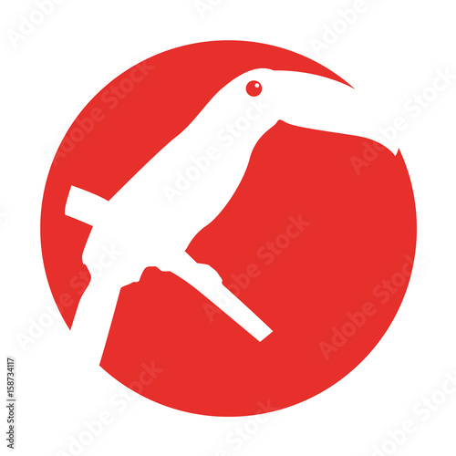 bird exotic toucan isolated icon vector illustration design