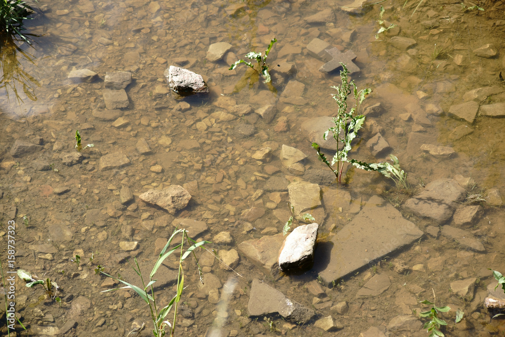 Teich mit Geröllbett / Die Draufsicht und Nahaufnahme auf die Steine