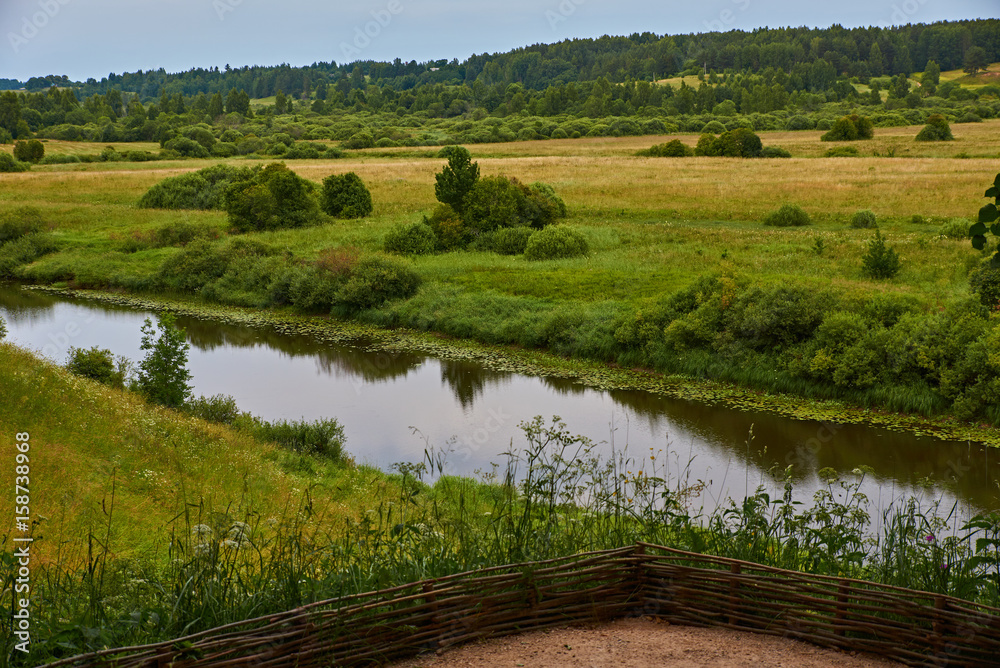 Obraz premium River view/Summer, noon. Under the hill below there is a small river. Growing trees. Trees create a shadow. In the distance you can see the forest. Russia, Pskov region, landscape, nature