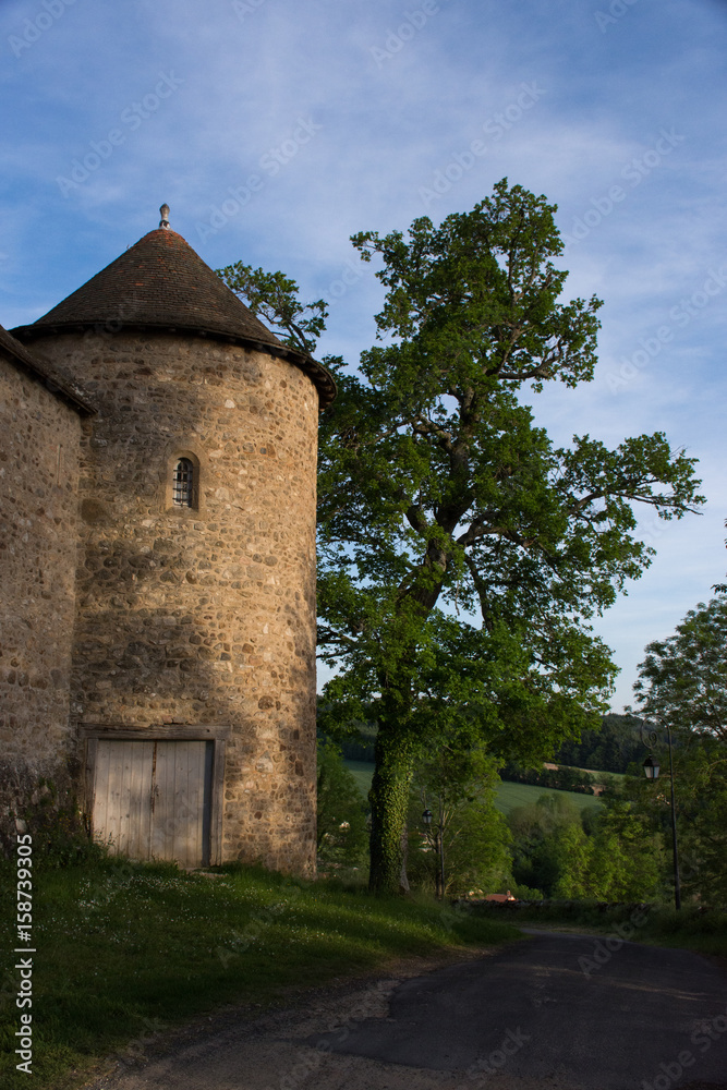 Burg Montfort Auvergne