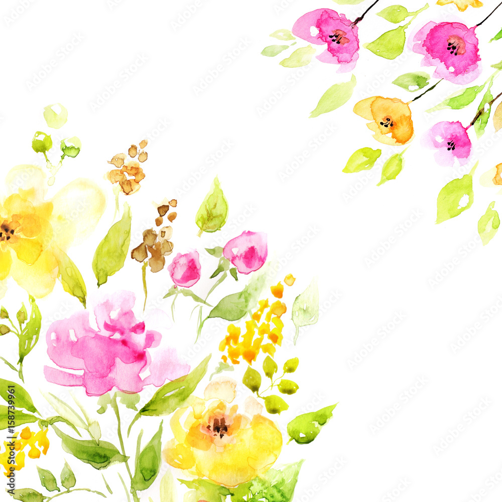 flowers in watercolor on white background